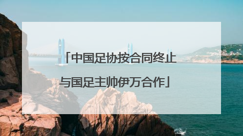 中国足协按合同终止与国足主帅伊万合作