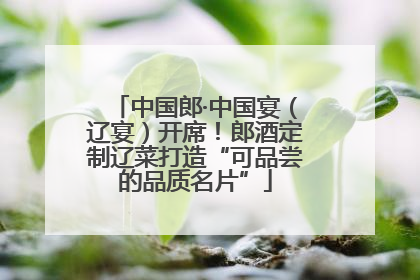 中国郎·中国宴（辽宴）开席！郎酒定制辽菜打造“可品尝的品质名片”