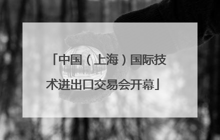 中国（上海）国际技术进出口交易会开幕