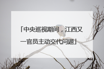 中央巡视期间，江西又一官员主动交代问题