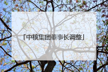 中核集团董事长调整