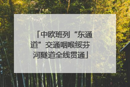 中欧班列“东通道”交通咽喉绥芬河隧道全线贯通