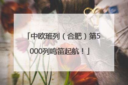 中欧班列（合肥）第5000列鸣笛起航！
