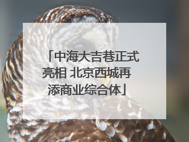 中海大吉巷正式亮相 北京西城再添商业综合体