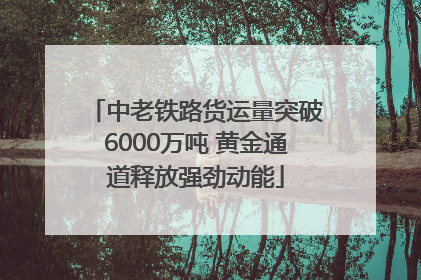 中老铁路货运量突破6000万吨 黄金通道释放强劲动能