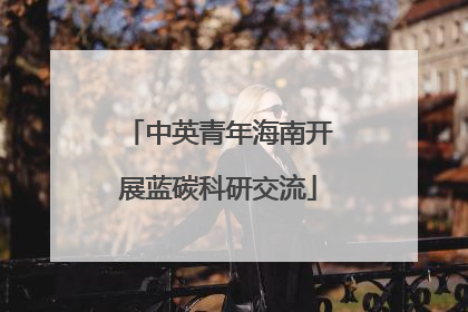 中英青年海南开展蓝碳科研交流