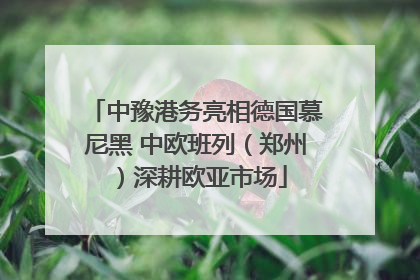 中豫港务亮相德国慕尼黑 中欧班列（郑州）深耕欧亚市场