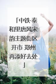 中铁·泰和里唐风宋韵主题街区开市 郑州再添好去处