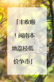 丰收啦！闽南本地荔枝低价争市