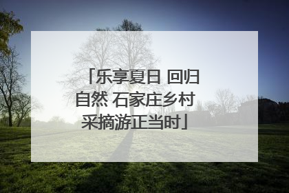 乐享夏日 回归自然 石家庄乡村采摘游正当时