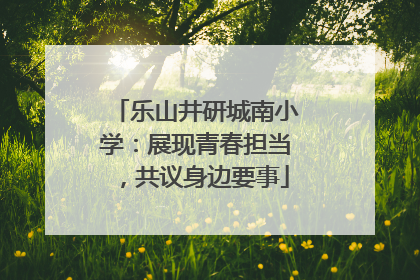 乐山井研城南小学：展现青春担当，共议身边要事