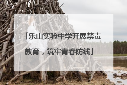 乐山实验中学开展禁毒教育，筑牢青春防线