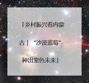 乡村振兴看内蒙古｜“沙漠蓝莓”种出紫色未来