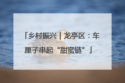 乡村振兴｜龙亭区：车厘子串起“甜蜜链”