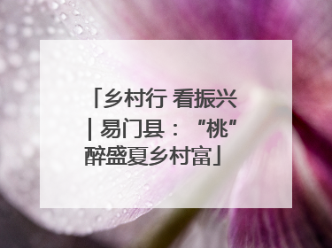 乡村行 看振兴｜易门县：“桃”醉盛夏乡村富