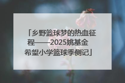 乡野篮球梦的热血征程——2025姚基金希望小学篮球季侧记