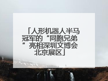 人形机器人半马冠军的“同胞兄弟”亮相深圳文博会北京展区