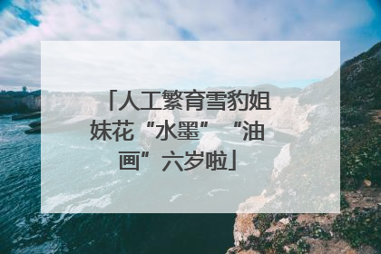 人工繁育雪豹姐妹花“水墨”“油画”六岁啦