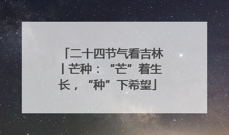 二十四节气看吉林丨芒种：“芒”着生长，“种”下希望