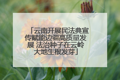 云南开展民法典宣传赋能边疆高质量发展 法治种子在云岭大地生根发芽