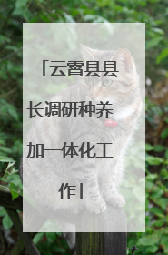 云霄县县长调研种养加一体化工作