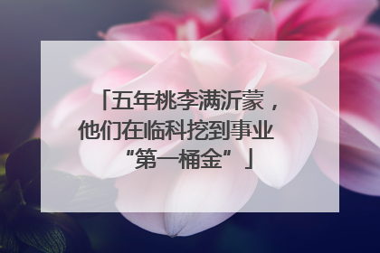 五年桃李满沂蒙，他们在临科挖到事业“第一桶金”