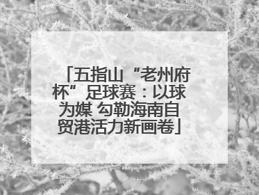 五指山“老州府杯”足球赛：以球为媒 勾勒海南自贸港活力新画卷