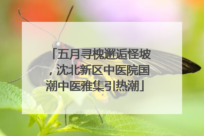 五月寻槐邂逅怪坡，沈北新区中医院国潮中医雅集引热潮