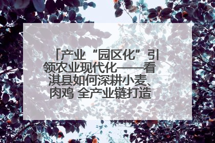 产业“园区化”引领农业现代化——看淇县如何深耕小麦、肉鸡 全产业链打造现代农业产业园