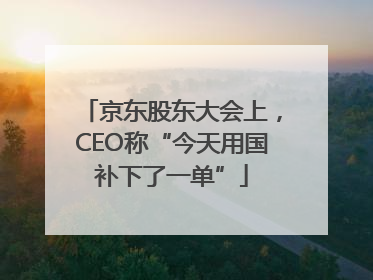 京东股东大会上，CEO称“今天用国补下了一单”