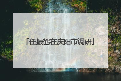 任振鹤在庆阳市调研