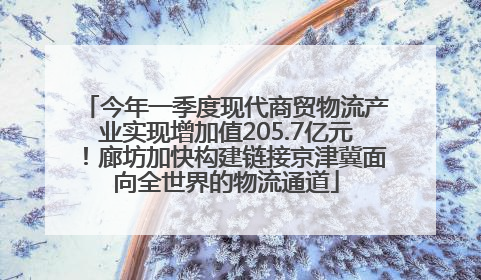 今年一季度现代商贸物流产业实现增加值205.7亿元！廊坊加快构建链接京津冀面向全世界的物流通道