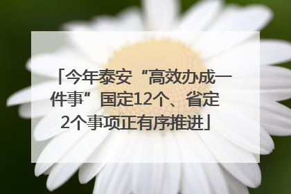 今年泰安“高效办成一件事”国定12个、省定2个事项正有序推进