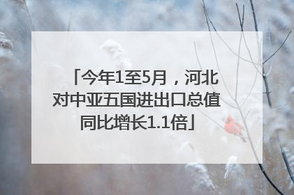 今年1至5月，河北对中亚五国进出口总值同比增长1.1倍