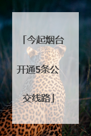 今起烟台开通5条公交线路
