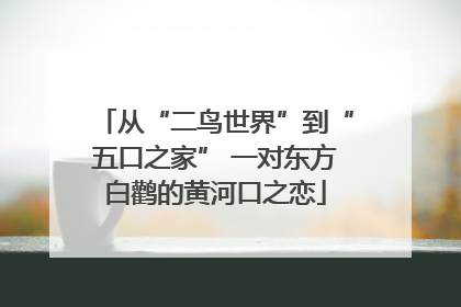 从“二鸟世界”到“五口之家” 一对东方白鹳的黄河口之恋