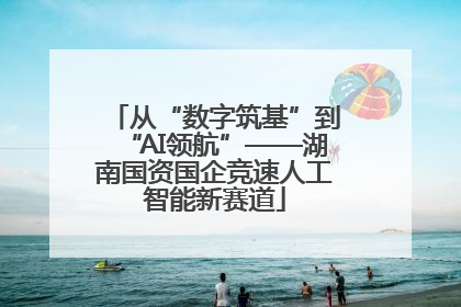 从“数字筑基”到“AI领航”——湖南国资国企竞速人工智能新赛道