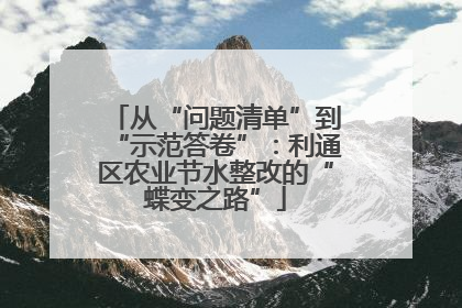 从“问题清单”到“示范答卷”：利通区农业节水整改的“蝶变之路”