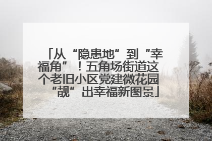 从“隐患地”到“幸福角”！五角场街道这个老旧小区党建微花园“靓”出幸福新图景