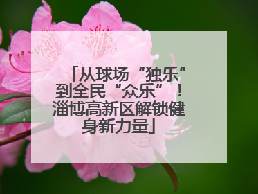 从球场“独乐”到全民“众乐”！淄博高新区解锁健身新力量