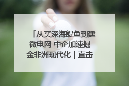 从买深海鳀鱼到建微电网 中企加速掘金非洲现代化｜直击中非经贸博览会