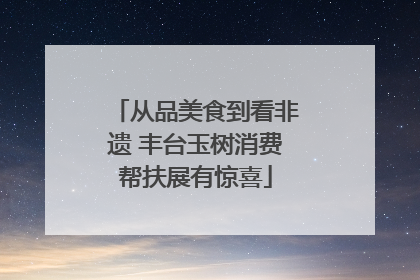 从品美食到看非遗 丰台玉树消费帮扶展有惊喜