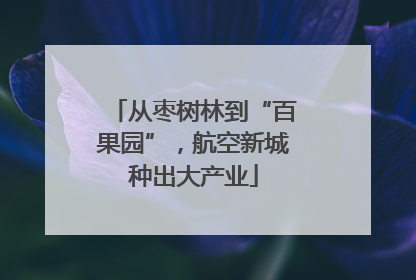 从枣树林到“百果园”，航空新城种出大产业