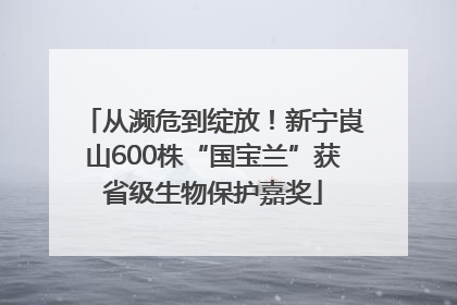 从濒危到绽放！新宁崀山600株“国宝兰”获省级生物保护嘉奖