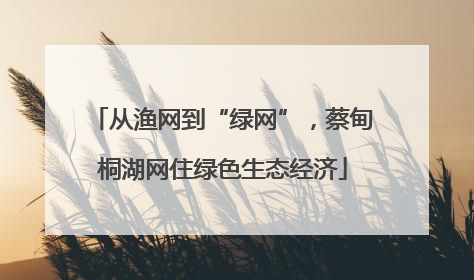 从渔网到“绿网”，蔡甸桐湖网住绿色生态经济