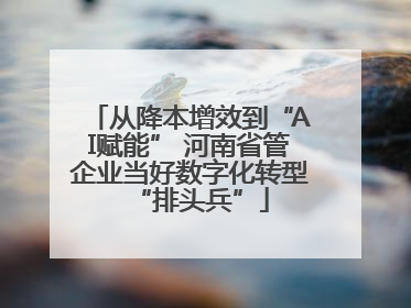 从降本增效到“AI赋能” 河南省管企业当好数字化转型“排头兵”