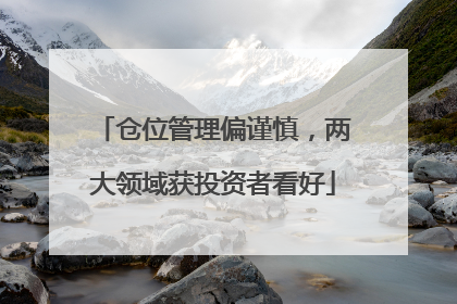 仓位管理偏谨慎，两大领域获投资者看好