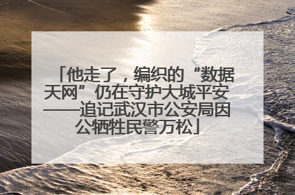 他走了，编织的“数据天网”仍在守护大城平安——追记武汉市公安局因公牺牲民警万松