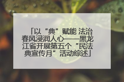 以“典”赋能 法治春风浸润人心——黑龙江省开展第五个“民法典宣传月”活动综述