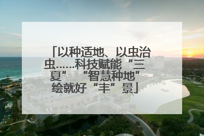以种适地、以虫治虫……科技赋能“三夏” “智慧种地”绘就好“丰”景